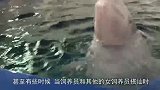 海豚为什么喜欢蹭孕妇的肚子医生：纯天然“B超”一蹭一个准
