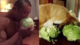 据说这就是健身人士的日常？肌肉男啃包菜这画面是不是有点眼熟？