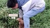 看到地里露出两只脚，路人上前帮忙结果拔出个人