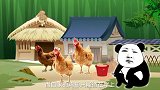 为了学习飞翔，多次被送进医院