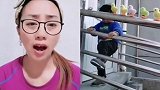 趣事精选，看小公鸡怎么都跑了
