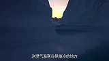 南极发现神秘巨型生物，现已开始泛滥，美国：中国做好准备！