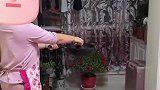 女士为家中消毒，滚烫的铁锅配上食醋
