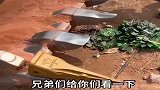 林子大了什么鸟都有，无意中拍到的一幕，这司机是个狠人！