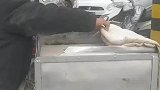 大爷为朋友担保被坑，街头卖烤红薯还债