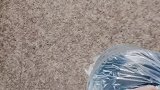 作为一个东北人会夹子音是什么体验护航高考2021