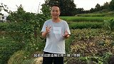 小伙用油桶给西瓜做造型，终于成功了，切开后结果“惊喜”了