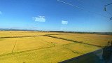 人间忽晚，山河已秋