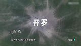 1956年，周总理访问埃及，所到之处欢声雷动