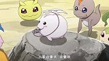 与幼年数码兽重新相见，真的好温馨！