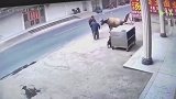 牛：拉偏架，有种放开，我要它狗命