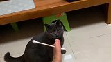 论，一根棉签的用途༄