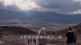 在小水塘中存活6万多年，如今全球仅38条，将濒临灭亡