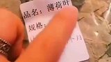 男子网购薄荷叶到货后发现事与愿违