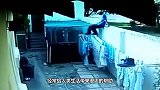 军犬阅兵，一只军犬竟公然笑场，网友被萌翻：这是走后门选上的吧