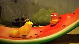 爆笑虫子：小黄和小红吃完西瓜，在西瓜皮上溜冰，城会玩啊！