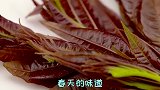 这味儿也太大了！代表着春天味道的香椿为何这么受欢迎？