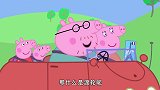 小猪佩奇：猪爸在国外危险驾驶，被别人提醒，还以为是打招呼
