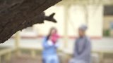 美女哭诉宠物寿命短，师太劝解无果后拿出了个盒子给她