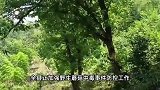 1家6口吃蘑菇中毒3人进ICU，5岁孩子病危，家属发声