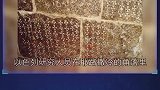 充满神秘色彩的新发现