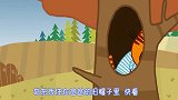 咪好一家：饼干真不像个猫，一言不合就爬树，真像个小猴子
