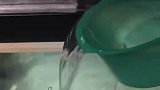 养鱼就怕停电，不来电不用睡了