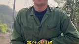 一天到晚就知道画大饼