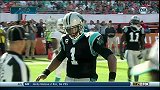 NFL-1314赛季-常规赛-第12周-迈阿密海豚16:20卡罗莱纳黑豹-精华