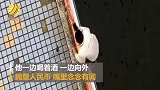 被人诈骗心情郁闷 醉酒男大桥上狂撒百元大钞欲轻生