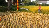 国外搞笑合集，压个水竟然打倒两个人，太惨了