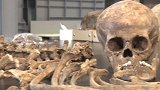 东京奥运场馆地下挖出187件人骨 包括婴幼儿年龄层