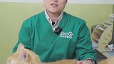 新手养猫注意事项来咯