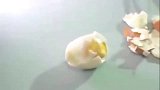 看完整个人都扭曲了，搞笑失误合集