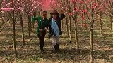 三月桃花别样红，姐妹穿越花海中！