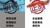 冬虫夏草是一种名贵滋补中药材，学会3招辨别真假