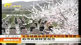 新闻夜总汇-20120404-北京殡葬协会副会长回应墓地贵称市民需转变观念