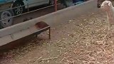 兄弟你的报复心挺强