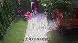 “父爱如山体滑坡”？恶犬突然冲向父女俩，男子慌乱丢下孩子！