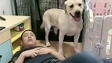 小迷糊总是和姥爷叫板，看见老四就秒怂，真是一物降一物