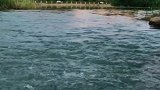 我愿变作一条鱼，让河水洗净世间的尘……
