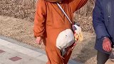 车坐不成，糖葫芦也没了