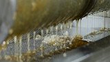 韩国爆款美食华夫饼，把蜂巢塞进去后，成品太“惊艳”了！