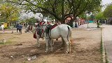 巴基斯坦的宝马，这里的宝马价格在15万人民币