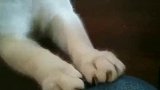 小姑娘家家的，脚翘那么高，难看死了