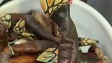 海边才有的美味，看到这一幕吓一跳，这东西也能吃