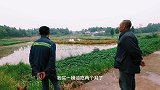 乡野树先生：老余和亲家聊油价闹出乌龙，大笑全场