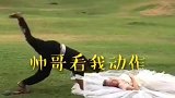 婚纱照就应该这样拍，高难度动作秀恩爱，新郎秀不起来好尴尬