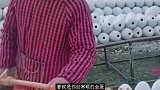 来看吧，这就是你砸的金蛋