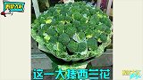 那些年收到的奇葩花束！你这真不是昨天晚上吃火锅剩下的